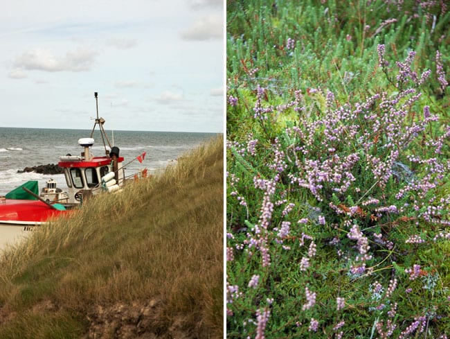 blokhus_vesterhavet