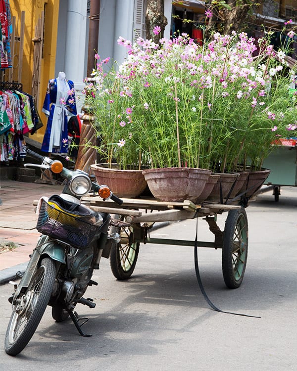 blomster-vietnam-scooter