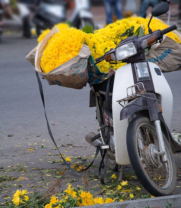 scooter-med-blomster