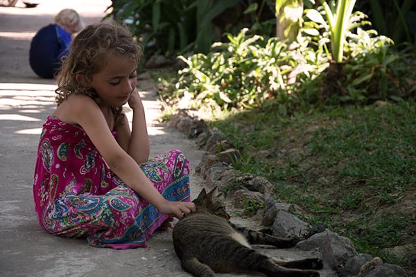 kat-koh-lanta