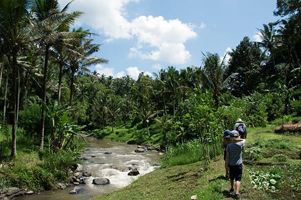 river-ubud