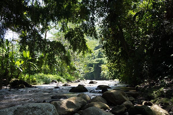 trekking_ubud