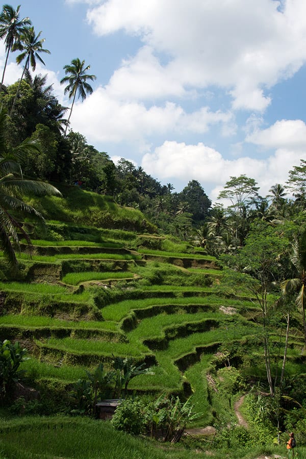 Bali