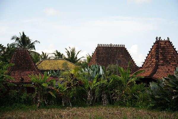 bali_ubud