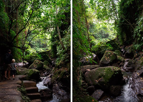 monkey-forrest-ubud