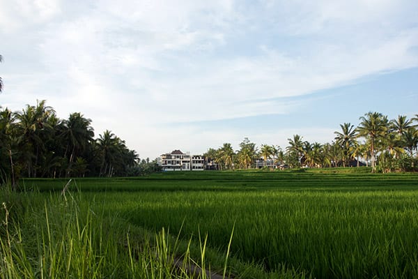 ubud bali