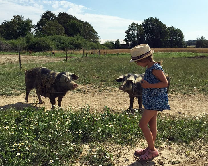 sommer-troldgaarden