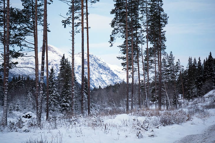 frost-norge