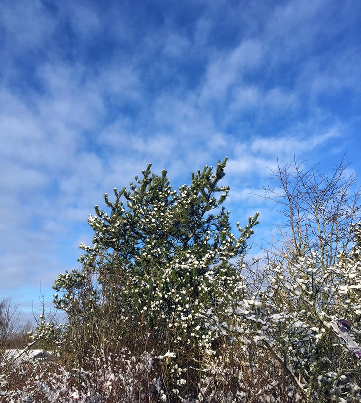 sne og blå himmel