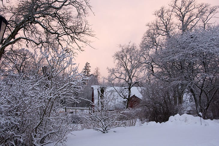 lyserød sol og sne