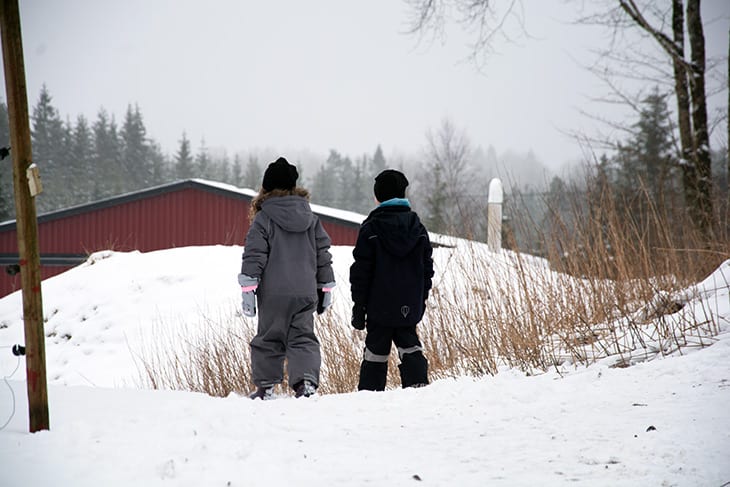 vinter sverige