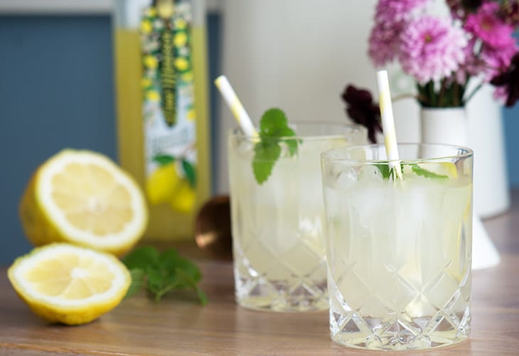 Cocktail limoncello gin