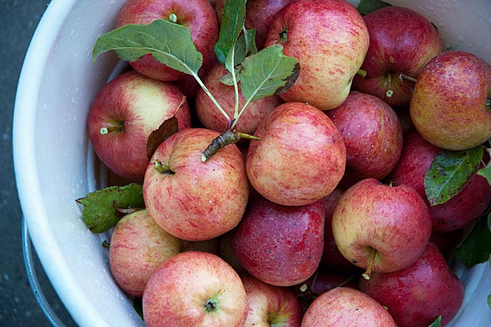 paraply Fremmedgørelse bøf Æblegrød - Opskrift på lækker frugtgrød med æbler og vanilje