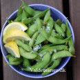 edamame