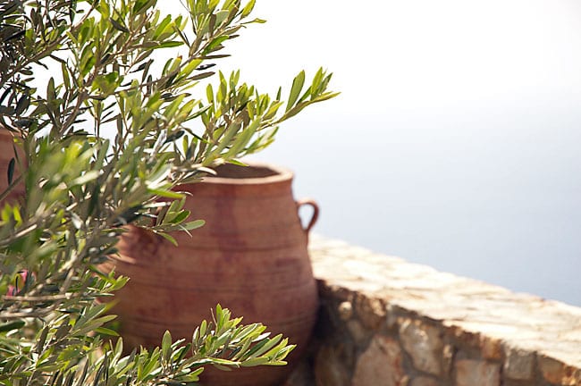 oliven-kreta