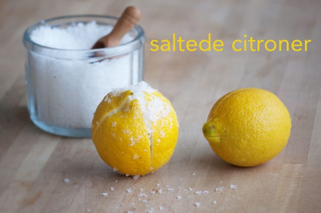 saltecitroner