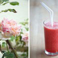 smoothie5