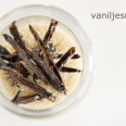 Vaniljesukker