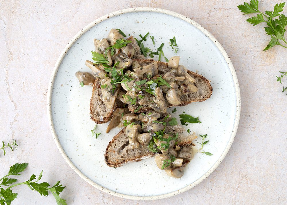 areal Hviske forfriskende Opskrifter med champignon I champignon til mange forskellige retter