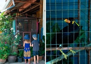Koh Lanta - guide til Koh Lanta med lækre oplevelser og strand