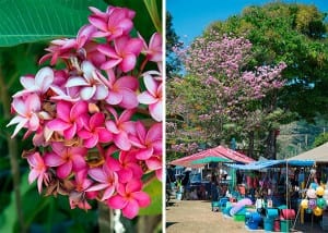 Koh Lanta - guide til Koh Lanta med lækre oplevelser og strand
