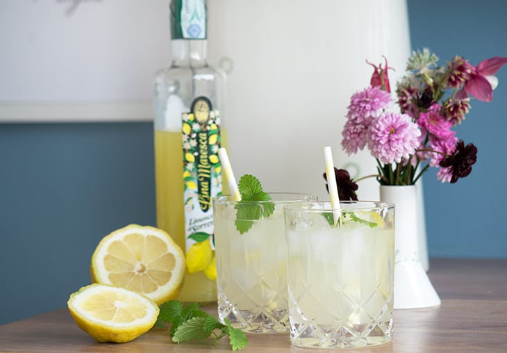 Limoncello cocktail – med gin og mynte