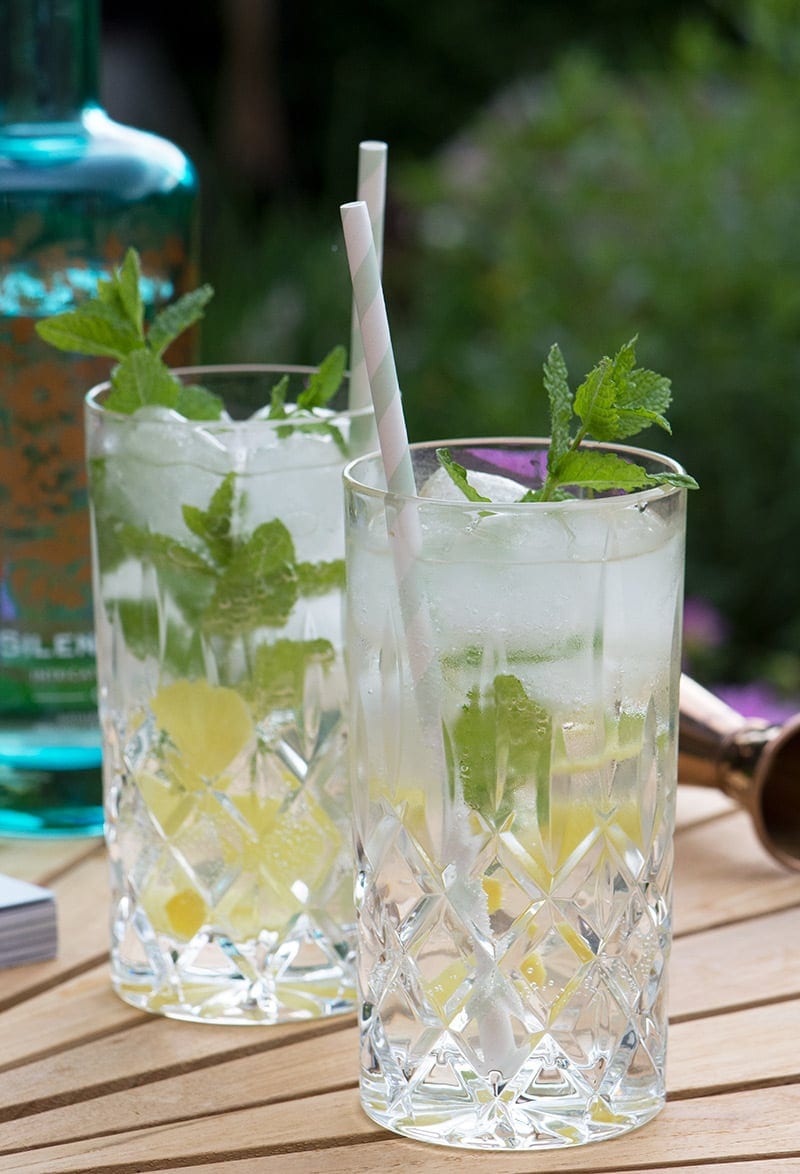 hyldeblomst og gin