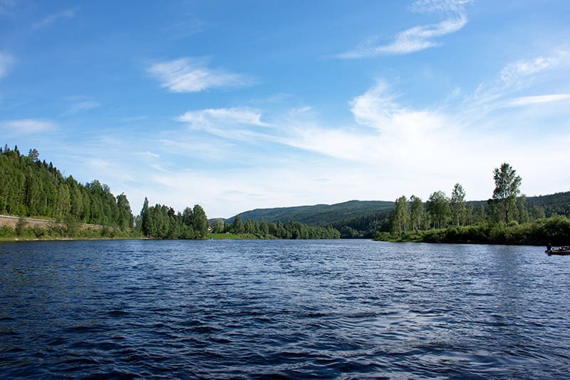 tømmerflåde vildmark varmland