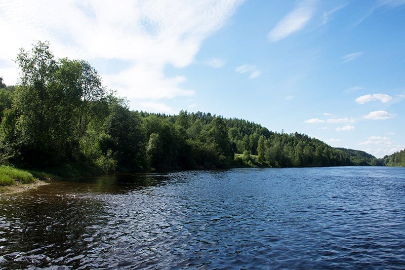 tømmerflåde vildmark varmland