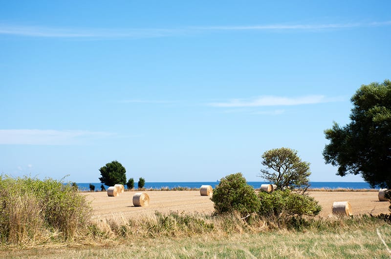 Samsø Halmballer