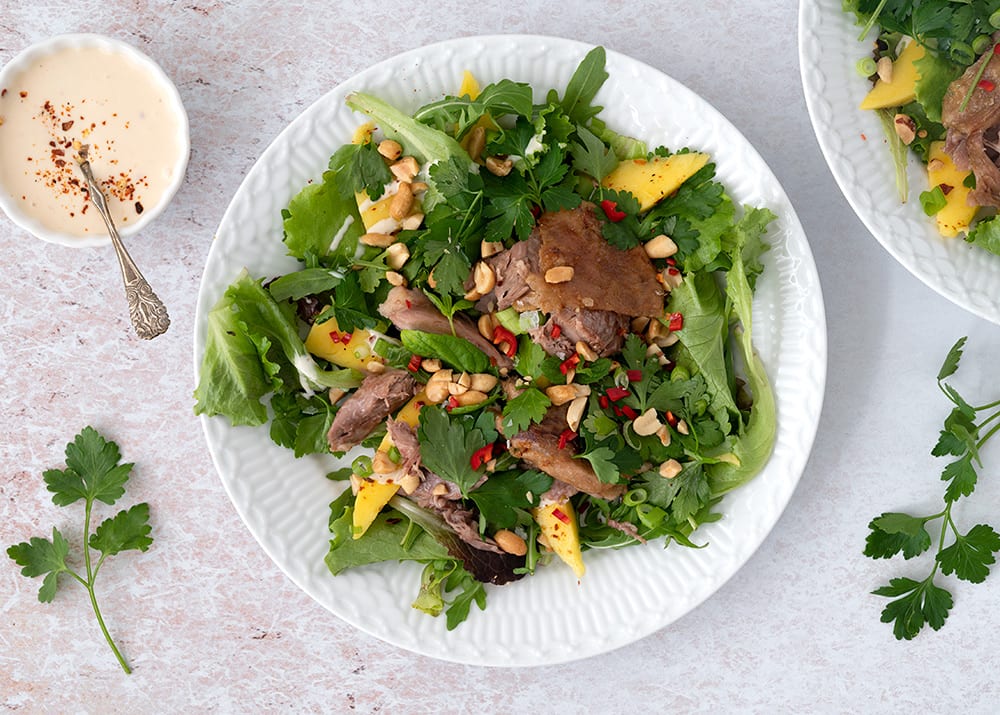 Salat med and - opskrift vietnamesisk inspireret salat