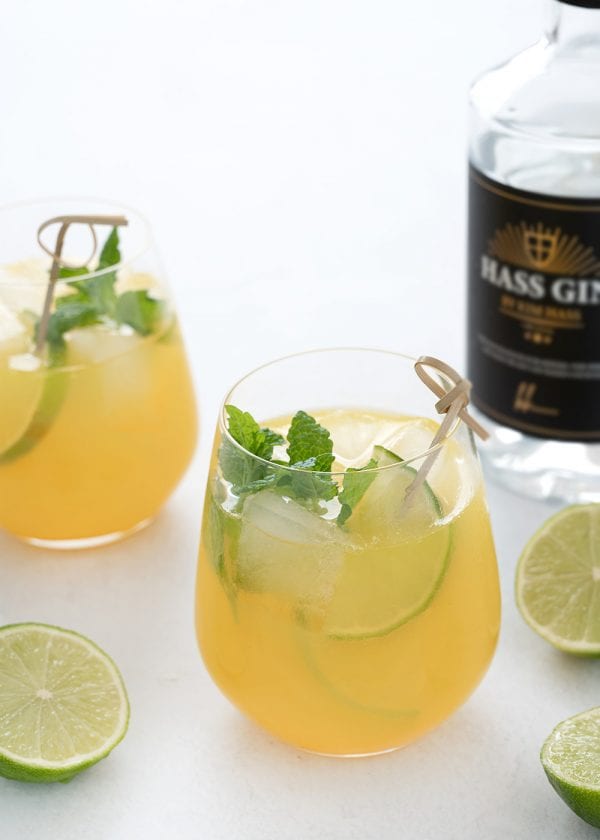 Gin Hass opskrift på den lækre frugtrige mango cocktail med lime