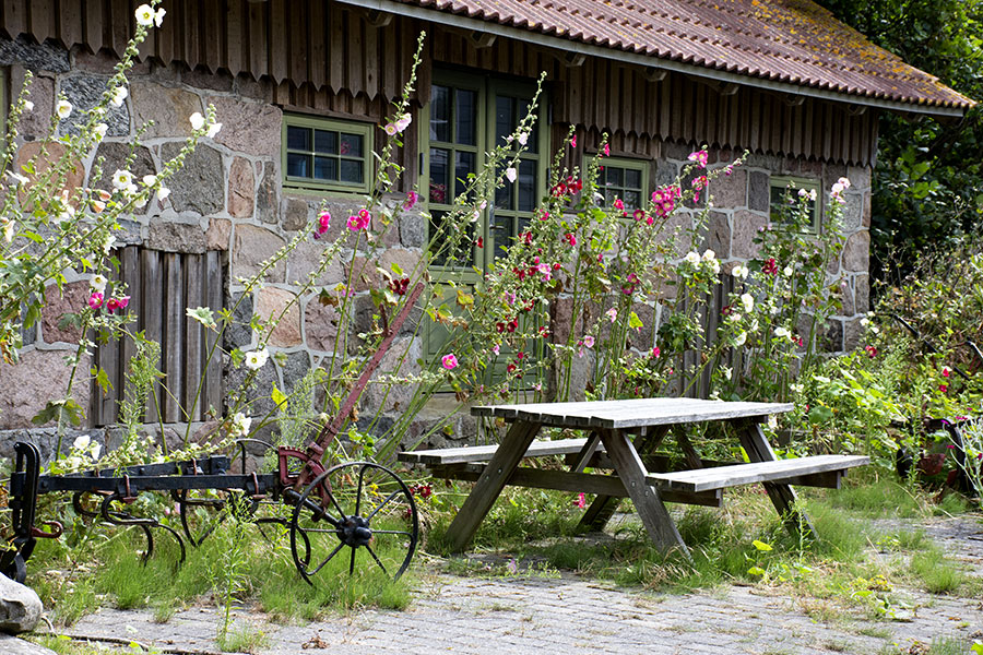 stokroser tunø