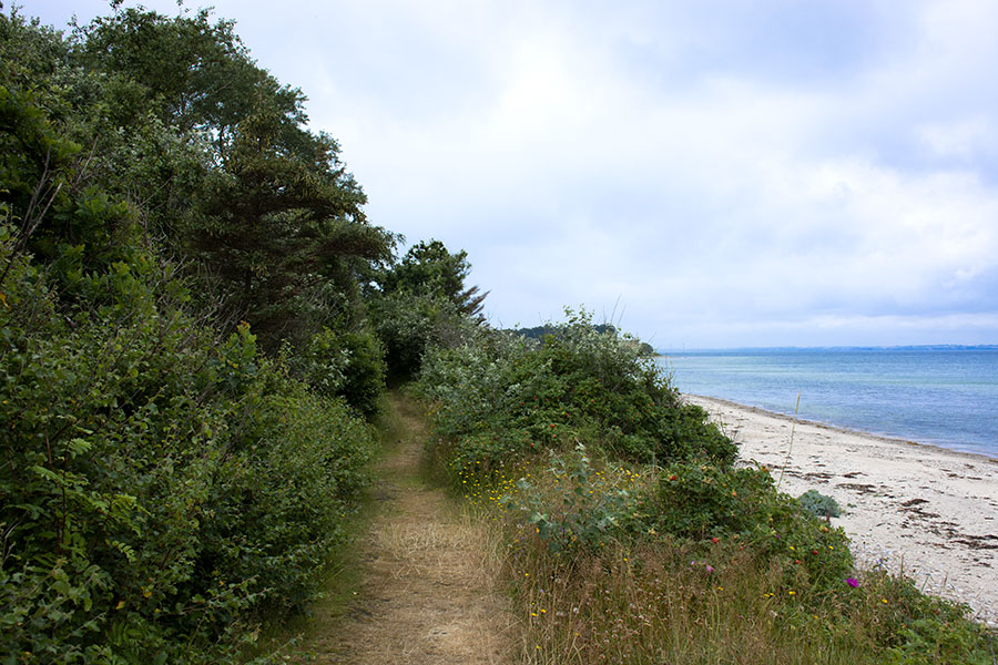 tunø natur