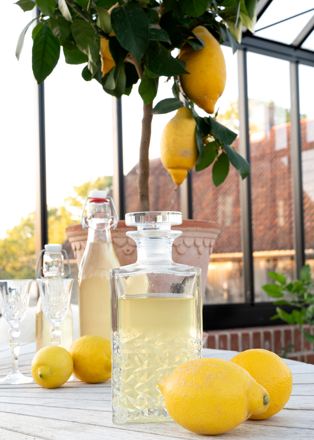 Hjemmelavet limoncello